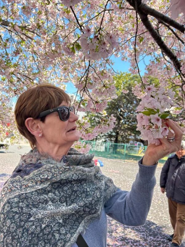 Heritage Tokyo: Sakura, Sake Brewery, Pairing Lunch - Exploring Heritage Tokyo: Sakura, Sake Brewery, Pairing Lunch