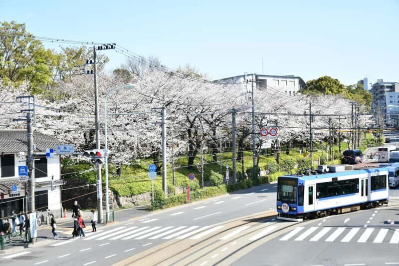 Heritage Tokyo: Sakura, Sake Brewery, Pairing Lunch - Final Thoughts