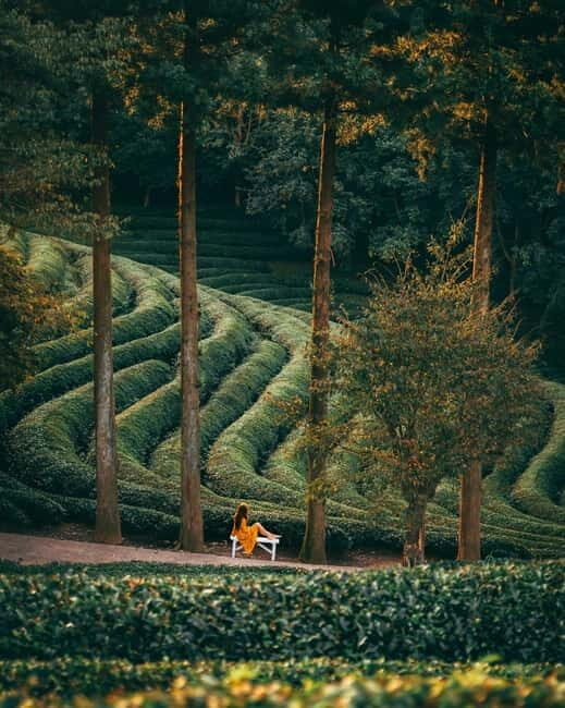 Heritage Tour: Tea Estates & Himalayan Culture of Palampur - Visiting the Historic Shiva Temple