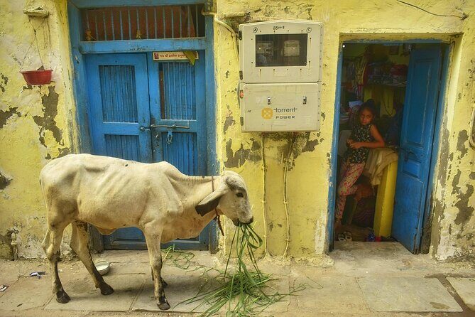 Heritage Walking Tour in Ahmedabad for an Immersive Experience - Exploring Ahmedabad’s Heritage with a Walking Tour
