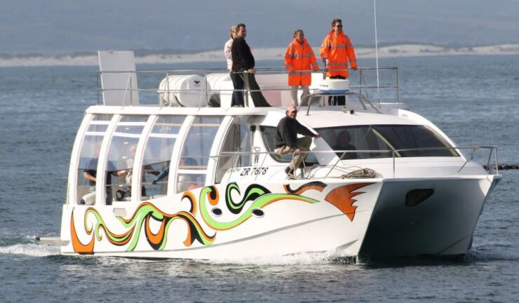 Hermanus: Boat Based Whale Watching Experience - Good To Know