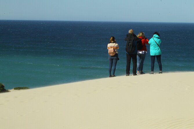 Hermanus Land Based Whale Walking Tour With Dave De Beer - Cancellation Policy