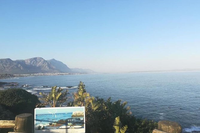 Hermanus Whale Coast Wine Tour - Overview of the Hermanus Whale Coast Wine Tour