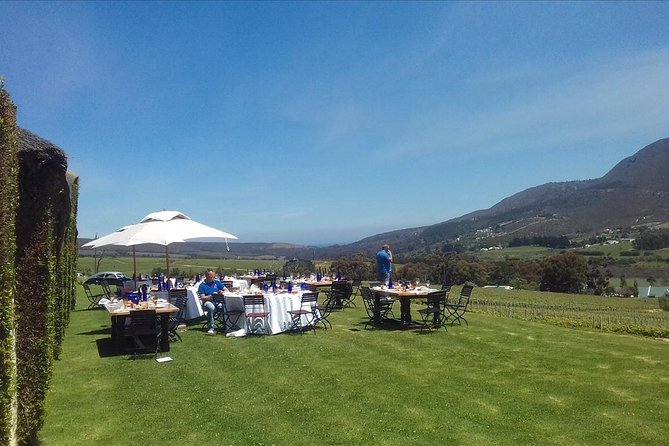 Hermanus Whale Coast Wine Tour - Departure Details and Schedule