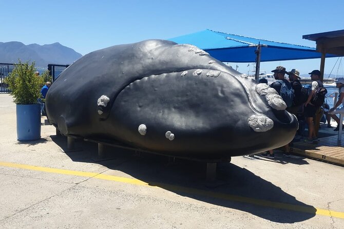 Hermanus Whale Watching, Penguins and Stellenbosch Tour - Cancellation Policy