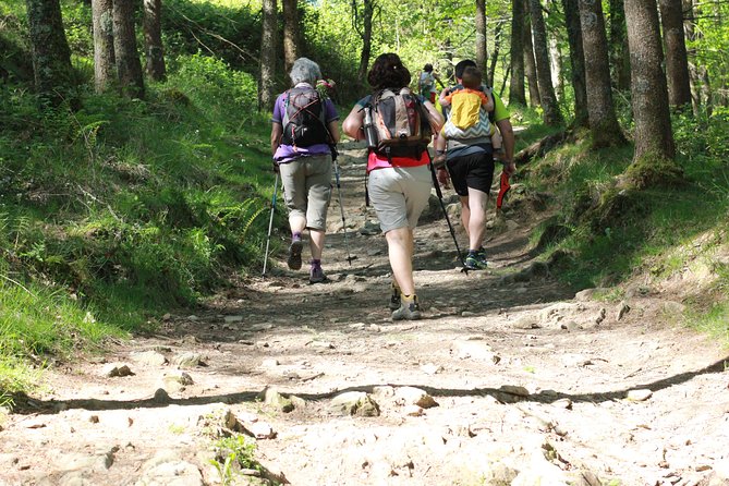 Hernio Mountain Hiking in Small Group - Reviews