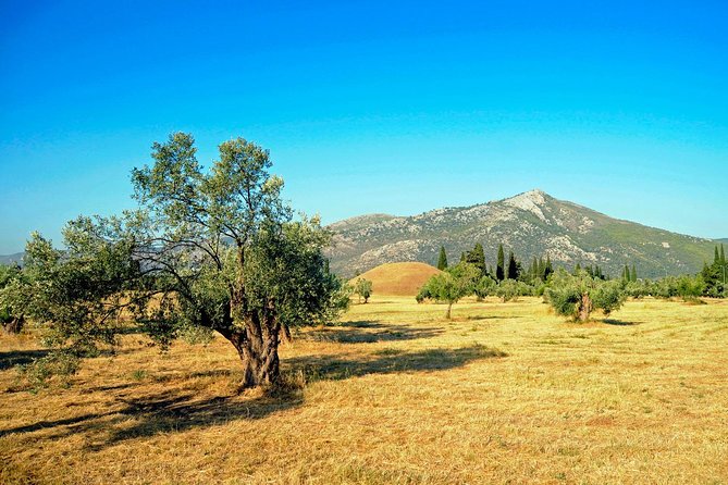 Herodotus' Greco-Persian War Battlefields Two-Day Tour - Athens - Historical Battlefields and Museums