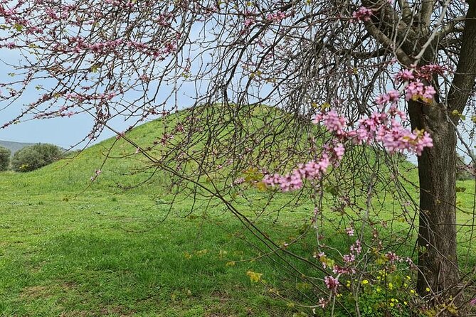 Heroic Marathon - Celebrating Your Accomplishment: Post-Marathon Recovery and Rewards