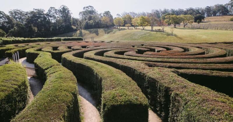 Herons Creek: Bago Maze Entry Ticket - Exploring Bago Maze: An In-Depth Review