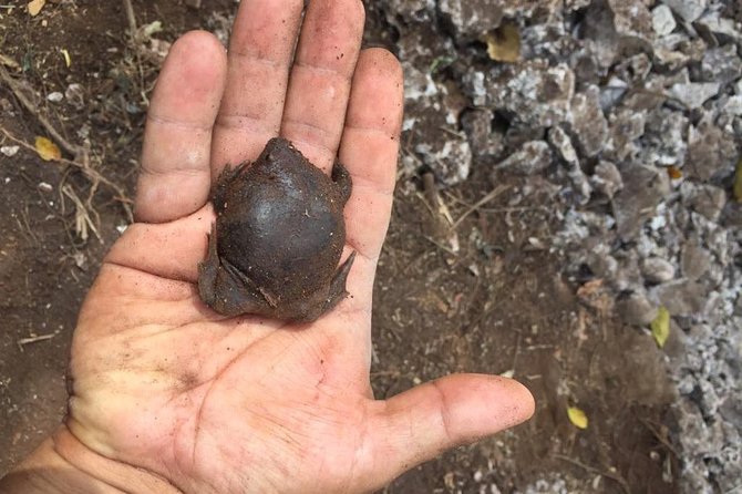 Herpetological Tour - Tour Confirmation and Accessibility