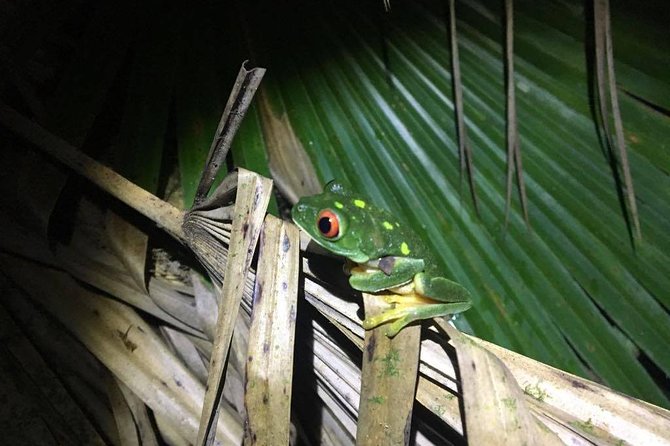 Herpetological Tour - Health and Fitness Requirements