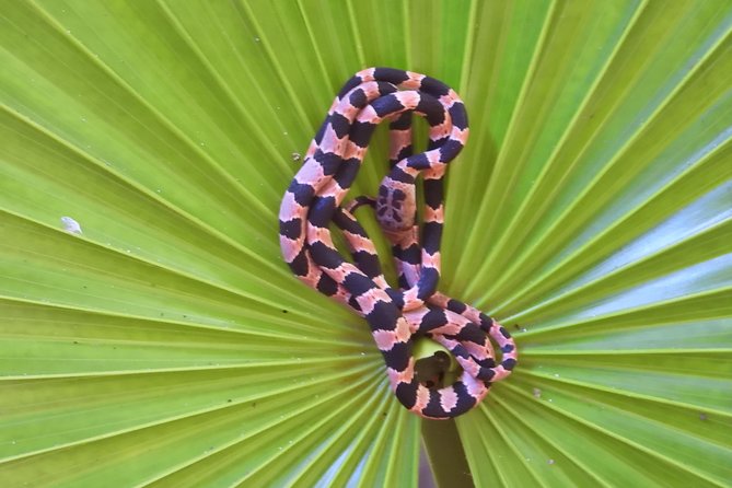 Herpetological Tour - Cancellation and Refund Policy