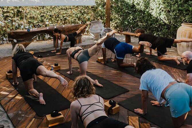 Herradero Flamingos Private Yoga Class Experience - The Sum Up: Who Will Benefit Most?  
