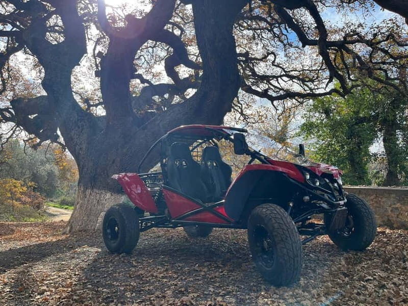 Hersonissos: Buggy Safari Adventure Tour - FAQs