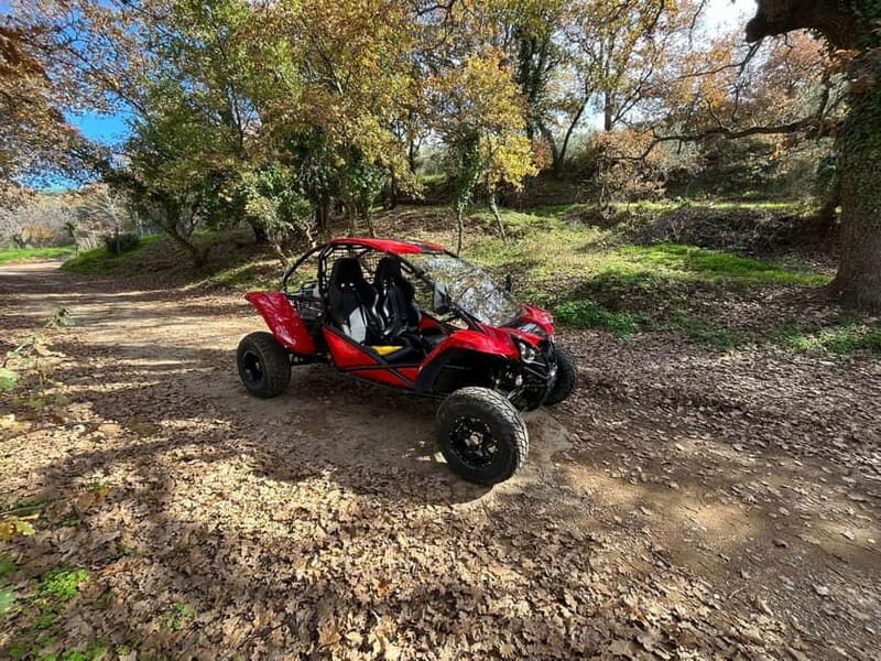 Hersonissos: Buggy Safari Adventure Tour - Final Thoughts