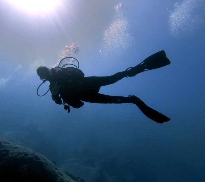 Hersonissos, Stalida: Beginner Scuba Diving Experience - Good To Know