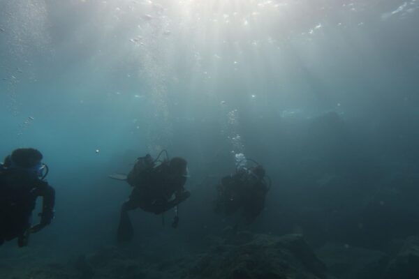 Hersonissos, Stalida: Beginner Scuba Diving Experience - Additional Information