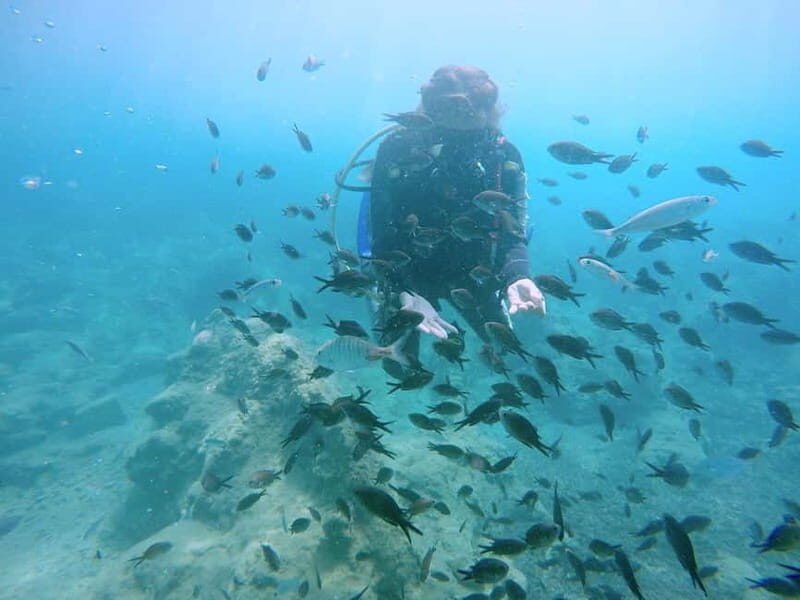 Hersonissos, Stalida: Scuba Diving Experience for beginners - Who Should Consider This Tour?