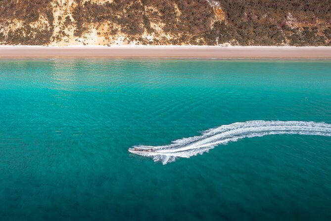 Hervey Bay: Half Day Whale Watching & Island Stop Tour - Common Questions