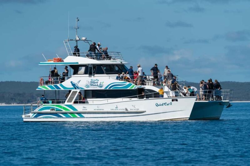 Hervey Bay: Humpback Whale-Watching Half-Day Cruise - Good To Know