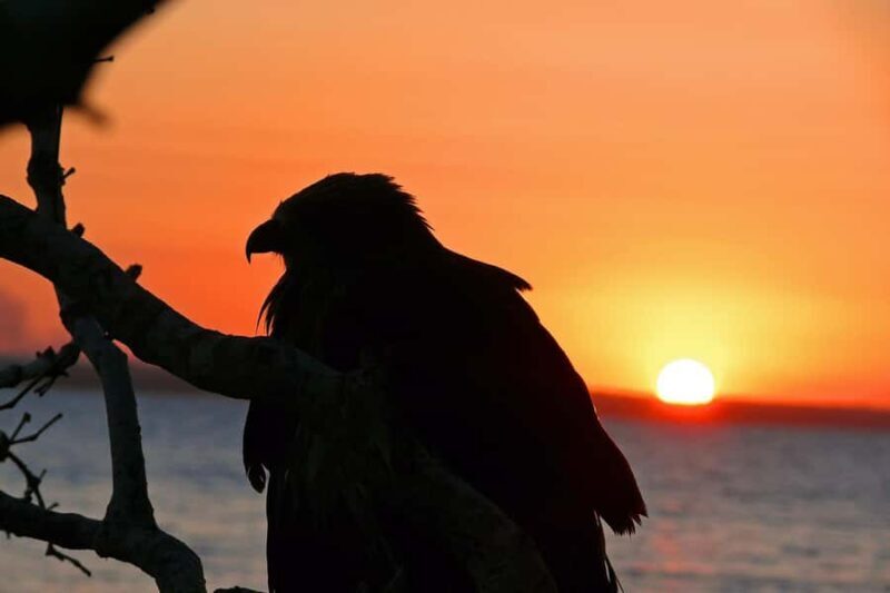Hervey Bay: Relaxing Sunset Cruise with Champagne and Prawns - Good To Know