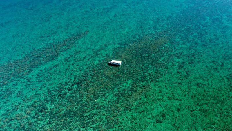 Hervey Bay: Turtle Discovery Eco Tour - Good To Know