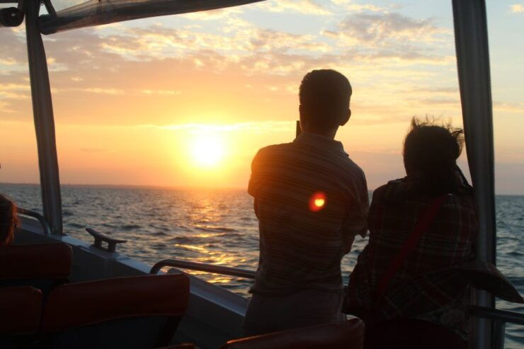 Hervey Bay: Ultimate Whale Watching Experience - Activity Details