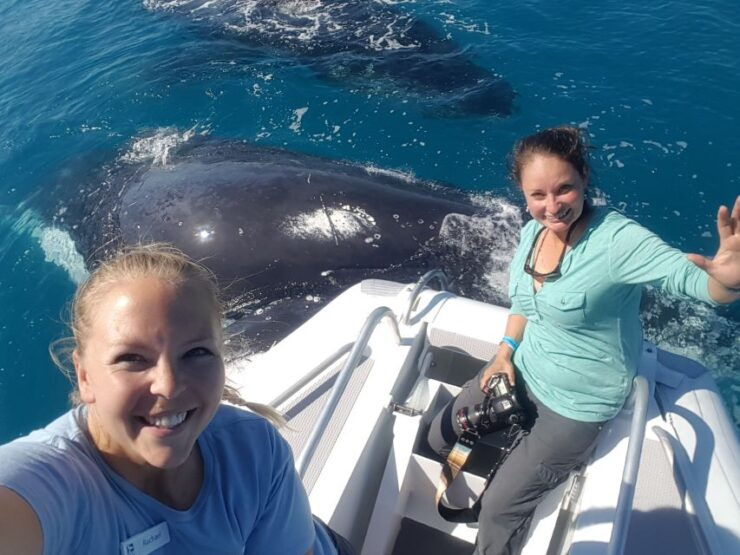 Hervey Bay: Ultimate Whale Watching Experience - Experience Highlights