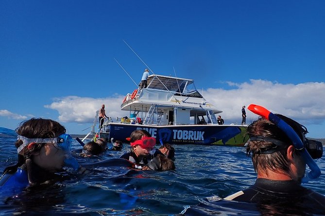 Hervey Bay Whale Swim and Watch - Start Time and End Point