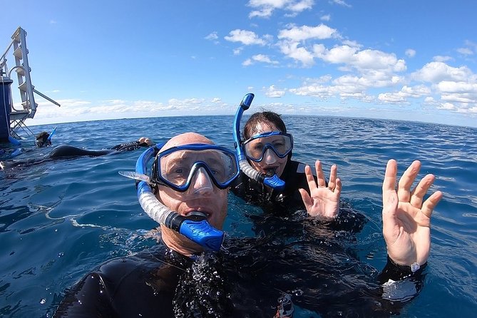 Hervey Bay Whale Swim and Watch - Directions