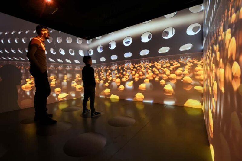 Heule: Chocolatier Vandenbulcke Chocolate Trail Tour - Why This Tour Works