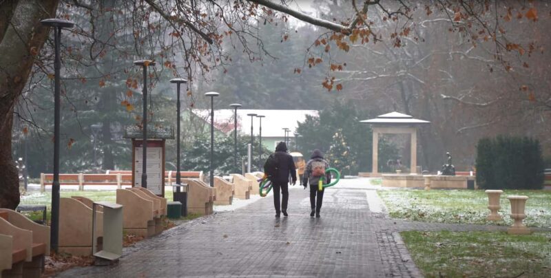 Hévíz Wellness Escape: Thermal Lake Day Trip from Budapest - Who Should Consider This Tour?