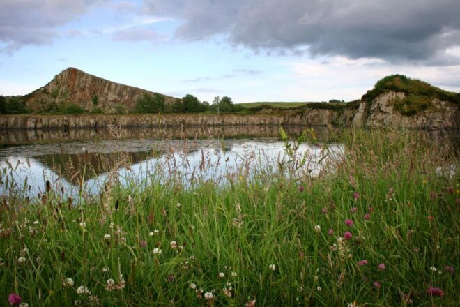 Hexham: Hadrians Wall and The Romans Full Day Guided Tour - The Sum Up