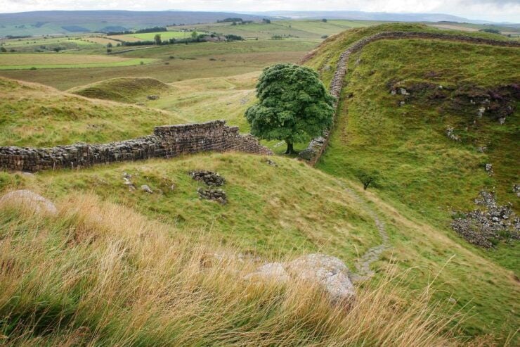 Hexham: Hadrian's Wall and The Romans Full Day Guided Tour - Tour Highlights