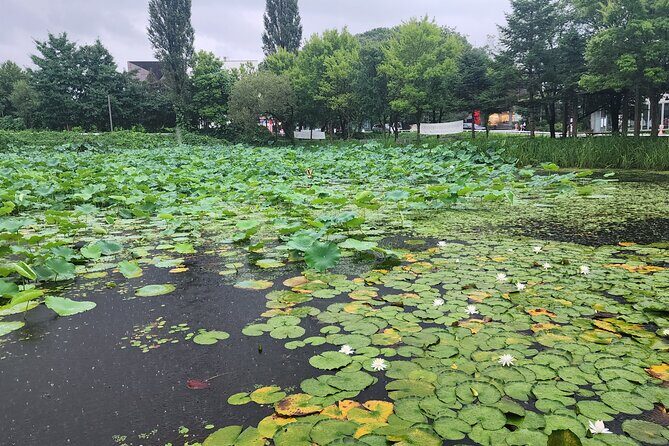 Heyri Walking Trip with Musical Instrument Making - An Authentic Look at the Heyri Walking Trip with Musical Instrument Making
