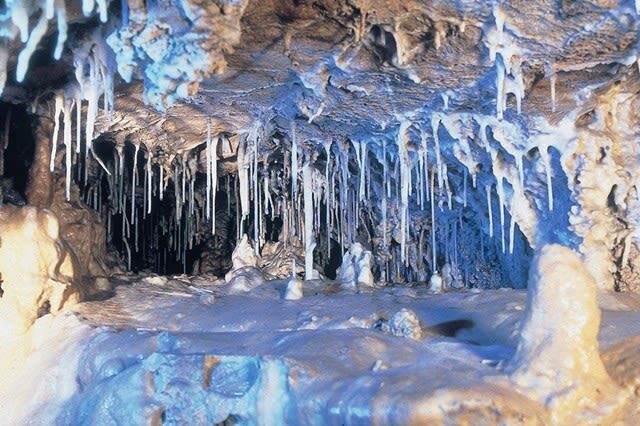 Hida Great Limestone Cave & Ohashi Collection Museum Admission in Takayama - What the ticket costs, and what you get for it