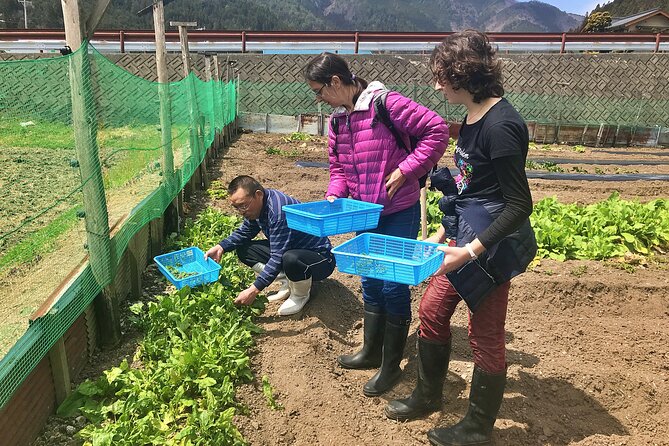Hida Private E-Bike Tour With Premium Lunch and Farm Experience - Tour Highlights