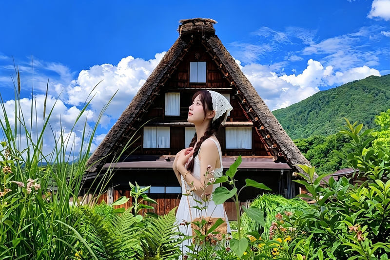 Hida-Takayama and Shirakawa-go Small Group Day Tour (Driver-Guide Service, Hotel Pickup and Drop-off Included) - Pickup, vehicle, and the day’s rhythm