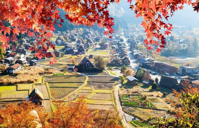 Hida Takayama, Shiragawago UNESCO Full-Day Tour From Nagoya - Transportation and Logistics