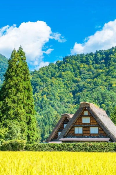 Hida Takayama, Shiragawago UNESCO Full-Day Tour From Nagoya - Tips for Travelers