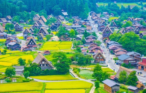 Hida Takayama, Shiragawago UNESCO Full-Day Tour From Nagoya - Local Cuisine to Try
