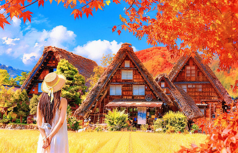Hida Takayama & Shirakawa-go Gassho Village Day Trip (Departing from Nagoya, optional observatory tour included) - A long day from Nagoya, with two very different stops