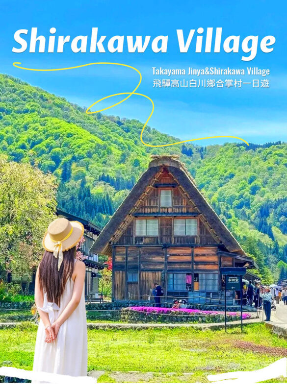 Hida Takayama & Shirakawa-go Gassho Village Day Trip (Departing from Nagoya, optional observatory tour included) - Takayama: Edo-period streets and a quick food crawl