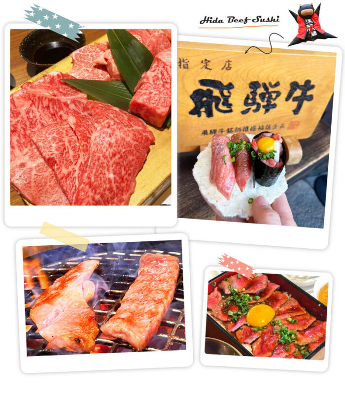 Hida Takayama & Shirakawa-go Gassho Village Day Trip (Departing from Nagoya, optional observatory tour included) - Is $49.29 good value?