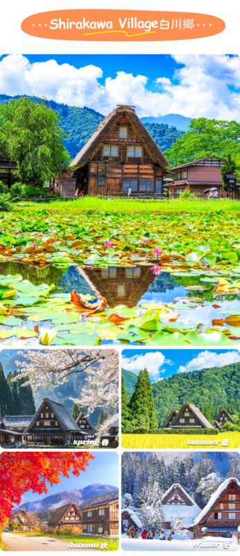 Hida Takayama & Shirakawa-go Gassho Village Day Trip (Departing from Nagoya, optional observatory tour included) - Booking details worth checking before you go
