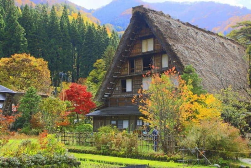 Hida Takayama, Shirakawa-go+Observatory|Day Trip from Nagoya - Good To Know