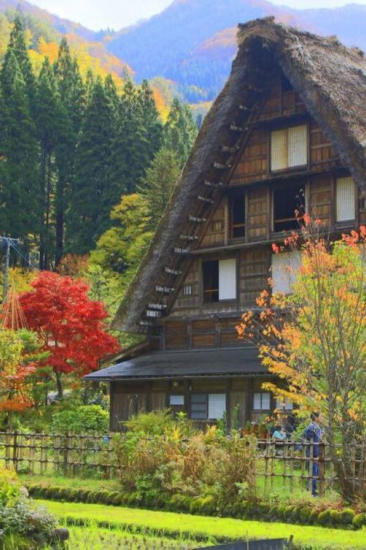Hida Takayama, Shirakawa-go+Observatory|Day Trip from Nagoya - Authentic Experiences and Practical Tips
