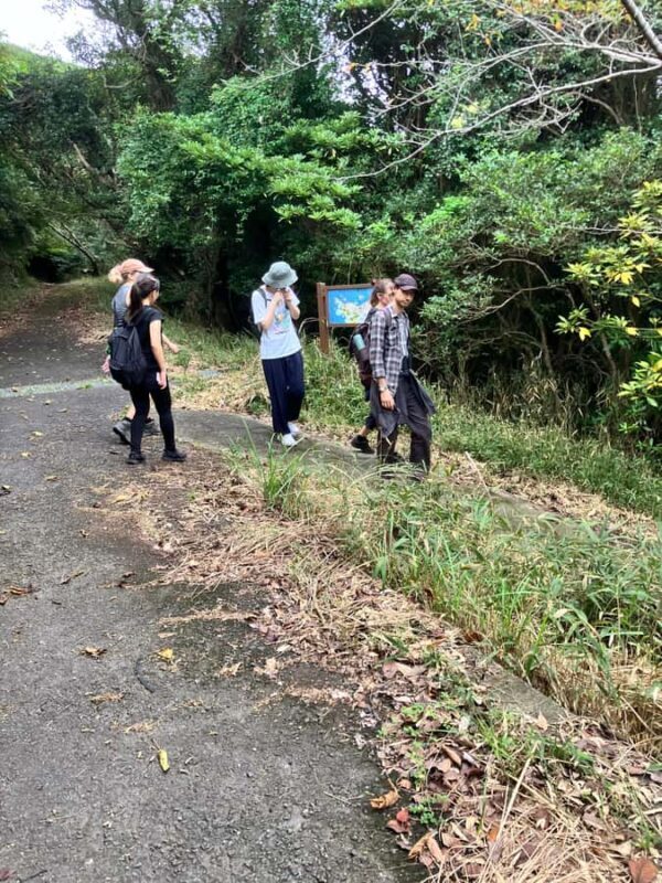 Hidaka, Wakayama: Butterfly Conservation, Hike, Hot Spring - Good To Know