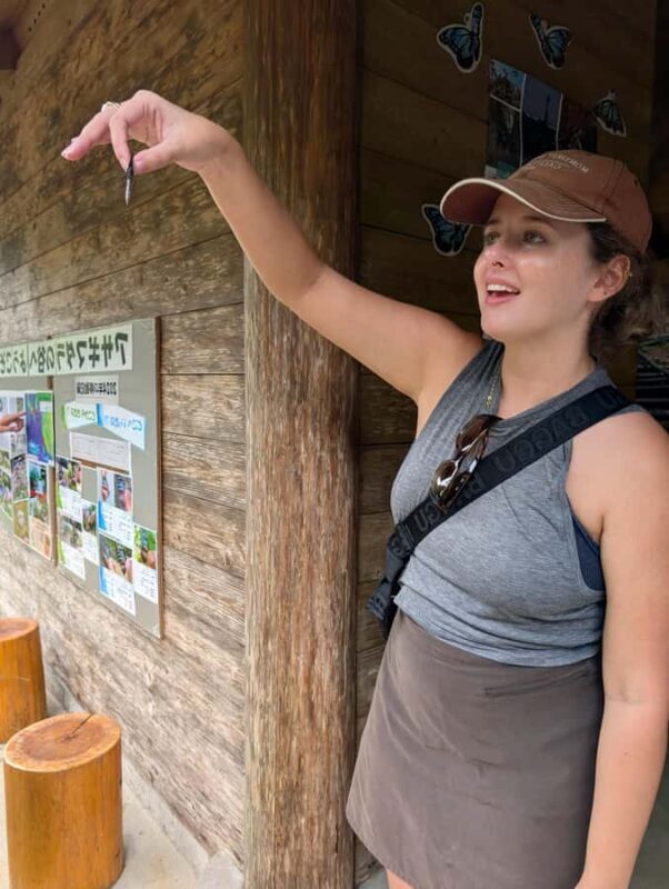 Hidaka, Wakayama: Butterfly Conservation, Hike, Hot Spring - An In-Depth Look at the Hidaka Experience