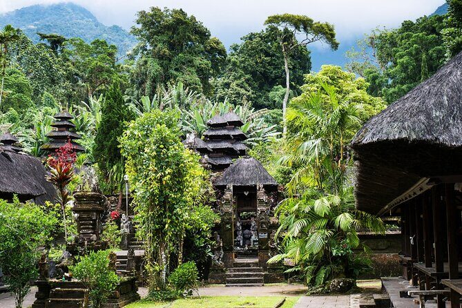 Hidden Bali Gems Sekumpul, Sacred Temples and Jatiluwih - The Experience from Reviews